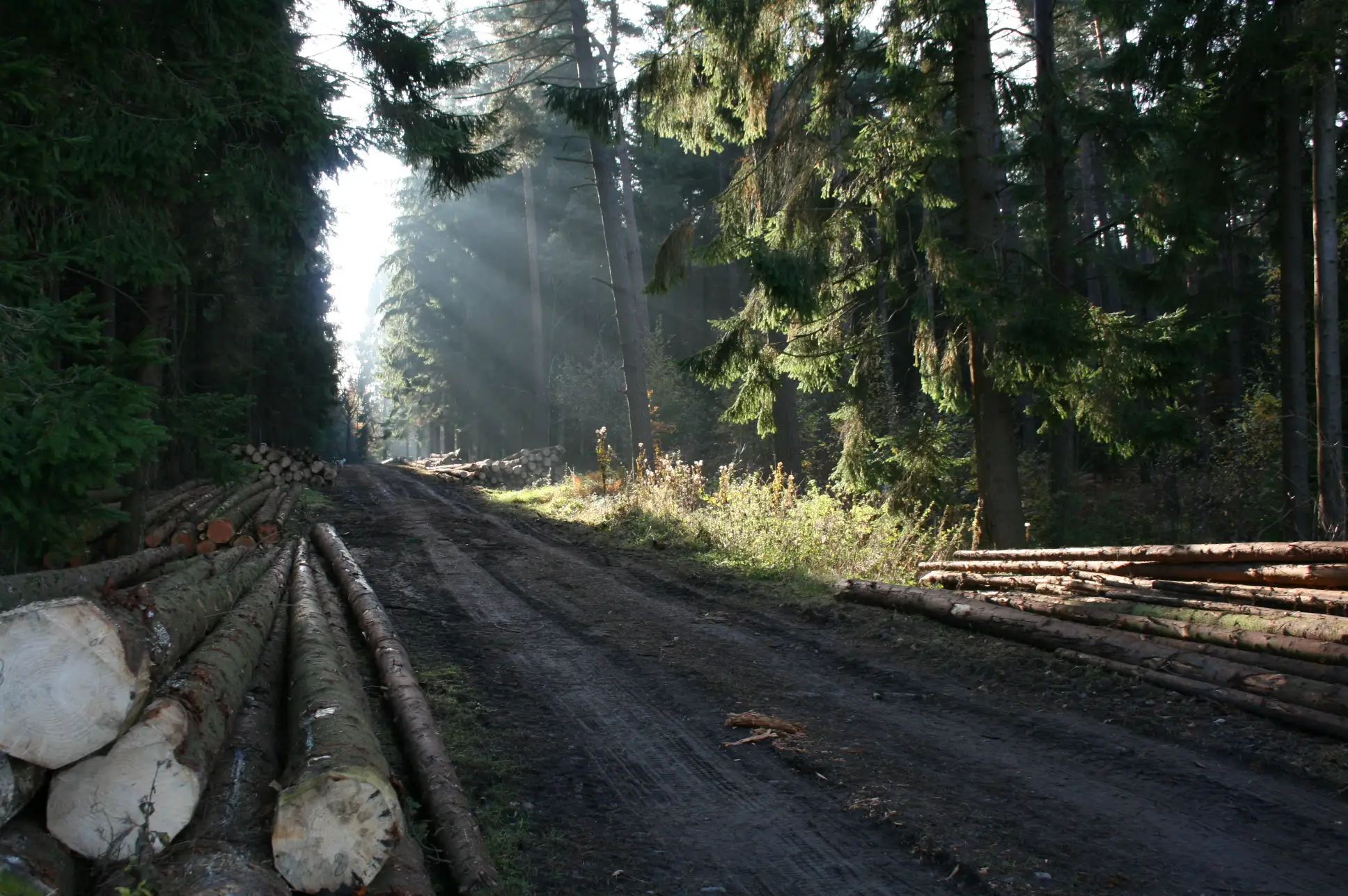 Cottage for 9 people in Theux Le Chaumont